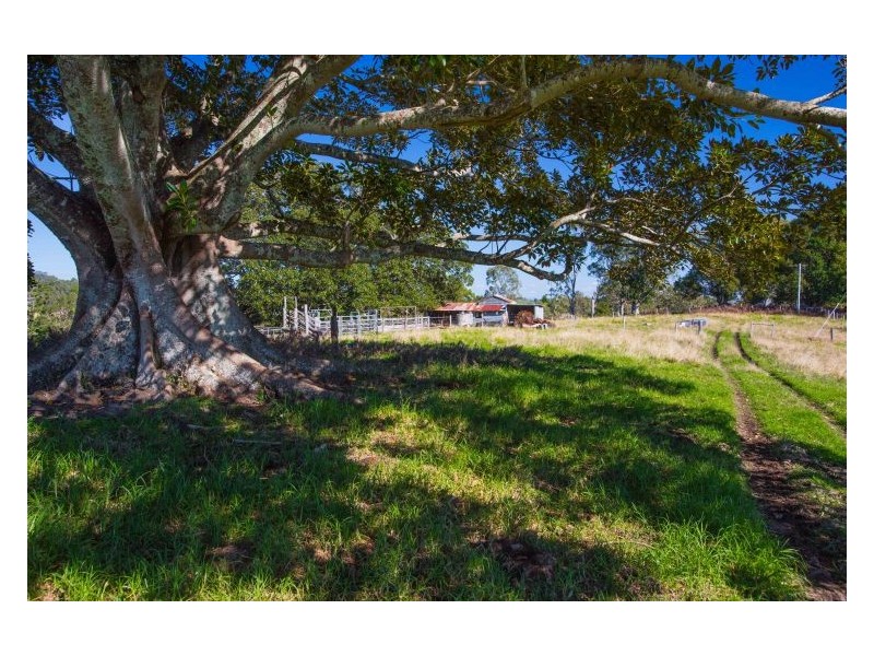 394 Skyline Road, Monaltrie NSW 2480
