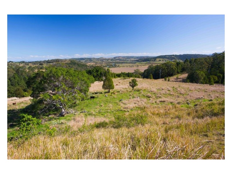 394 Skyline Road, Monaltrie NSW 2480