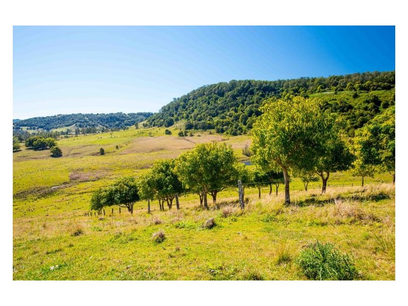 660 Keerrong Road, Keerrong NSW 2480