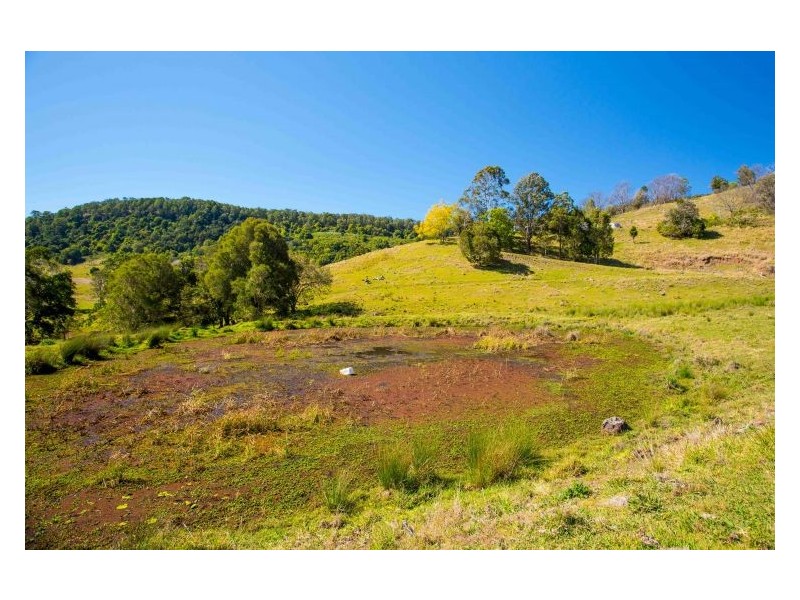 660 Keerrong Road, Keerrong NSW 2480