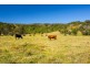 660 Keerrong Road, Keerrong NSW 2480