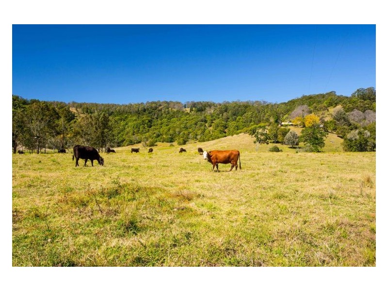 660 Keerrong Road, Keerrong NSW 2480