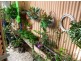 18 Union Street, South Lismore NSW 2480
