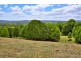 11 Starkey Road, Whian Whian NSW 2480