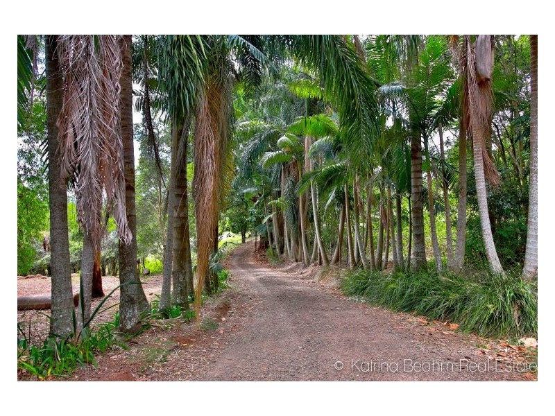 11 Starkey Road, Whian Whian NSW 2480