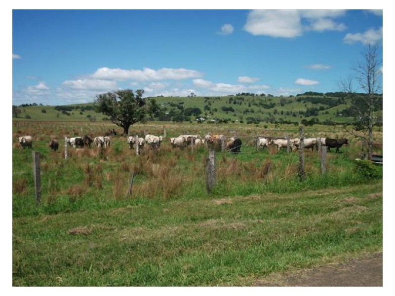 57 Northcott Road, South Gundurimba NSW 2480