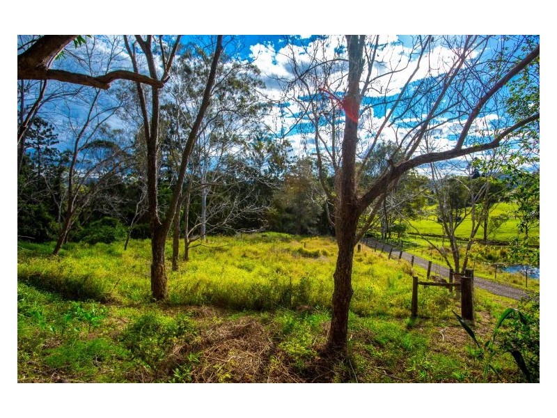 58 Nimbin Road, Booerie Creek NSW 2480