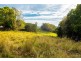 196 Tuckurimba Road, Tuckurimba NSW 2480