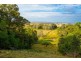 196 Tuckurimba Road, Tuckurimba NSW 2480