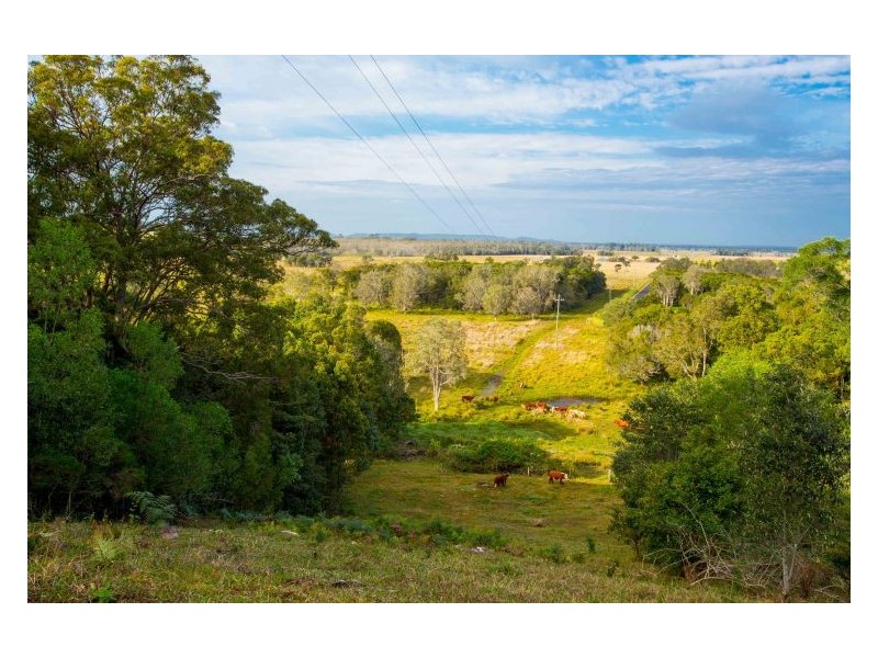 196 Tuckurimba Road, Tuckurimba NSW 2480
