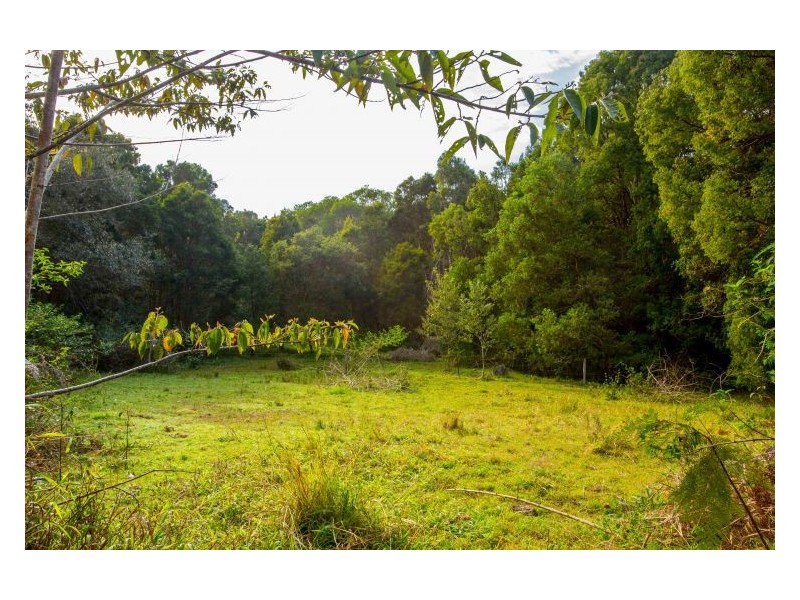 196 Tuckurimba Road, Tuckurimba NSW 2480