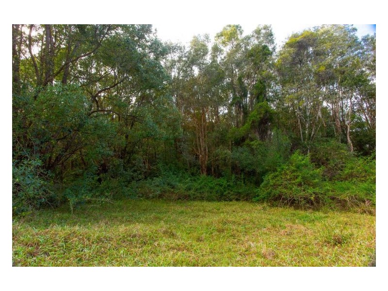 196 Tuckurimba Road, Tuckurimba NSW 2480