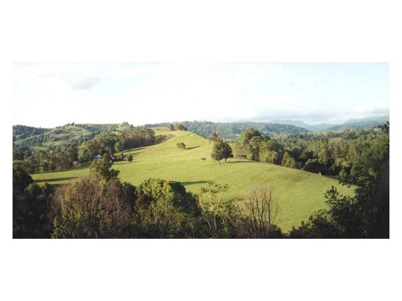 Lot 10 Tuntable Creek Road, The Channon NSW 2480