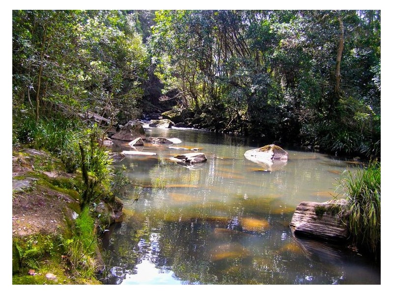 Lot 10 Tuntable Creek Road, The Channon NSW 2480