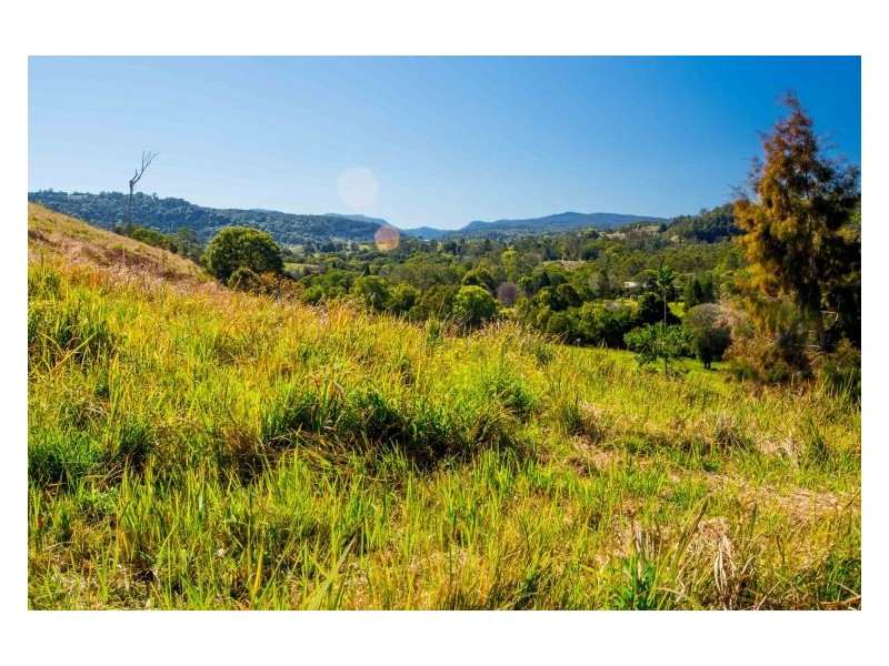 Lot 10 Tuntable Creek Road, The Channon NSW 2480