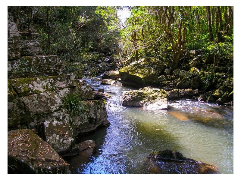 Lot 10 Tuntable Creek Road, The Channon NSW 2480