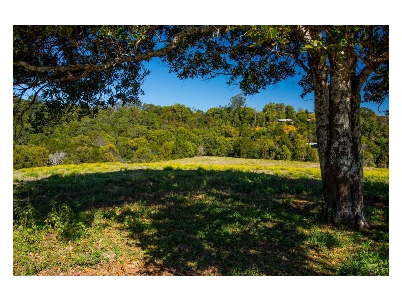 Lot 10 Tuntable Creek Road, The Channon NSW 2480