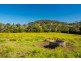 Lot 10 Tuntable Creek Road, The Channon NSW 2480