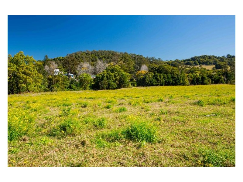 Lot 10 Tuntable Creek Road, The Channon NSW 2480