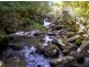 Lot 10 Tuntable Creek Road, The Channon NSW 2480