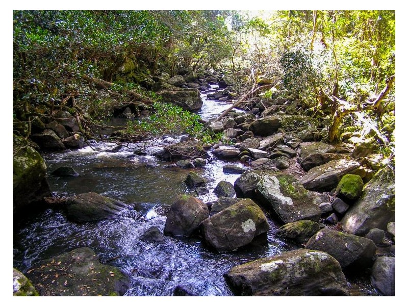 Lot 10 Tuntable Creek Road, The Channon NSW 2480