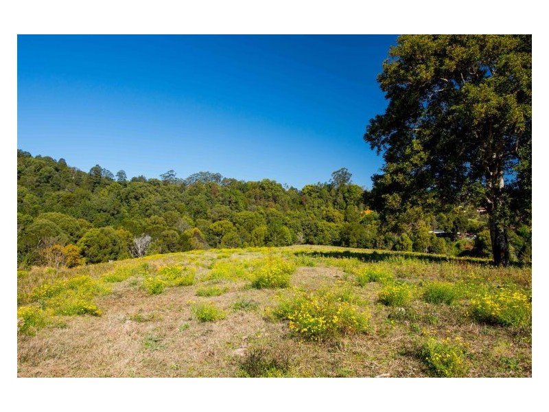 Lot 10 Tuntable Creek Road, The Channon NSW 2480