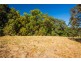 Lot 10 Tuntable Creek Road, The Channon NSW 2480