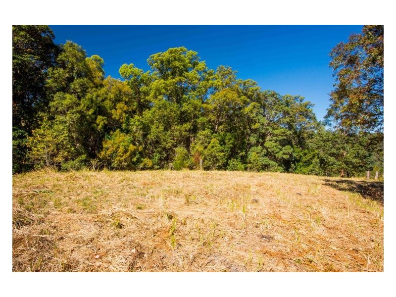 Lot 10 Tuntable Creek Road, The Channon NSW 2480