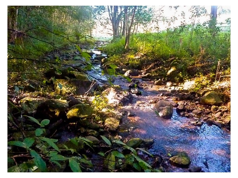 House 4, 119 Elliott Road, Clunes NSW 2480