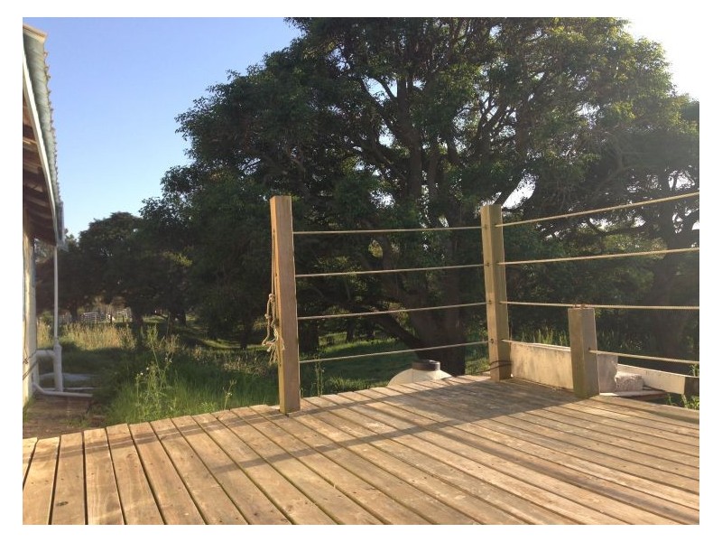 560-dairy Bruxner Highway, Lismore NSW 2480