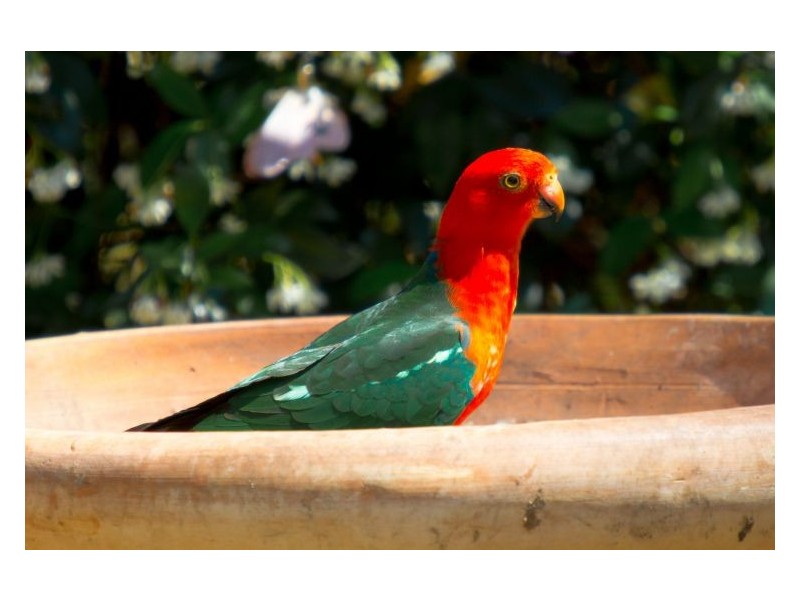 297 Manifold Road, North Casino NSW 2470