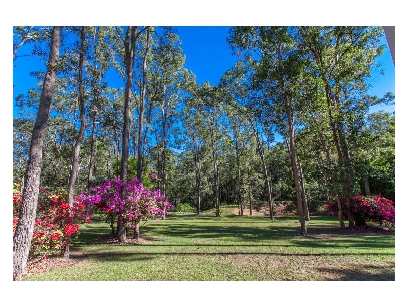 297 Manifold Road, North Casino NSW 2470