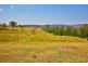 764 Cawongla Road, Larnook NSW 2480