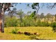 764 Cawongla Road, Larnook NSW 2480