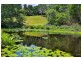 533 Blue Knob Road, Nimbin NSW 2480