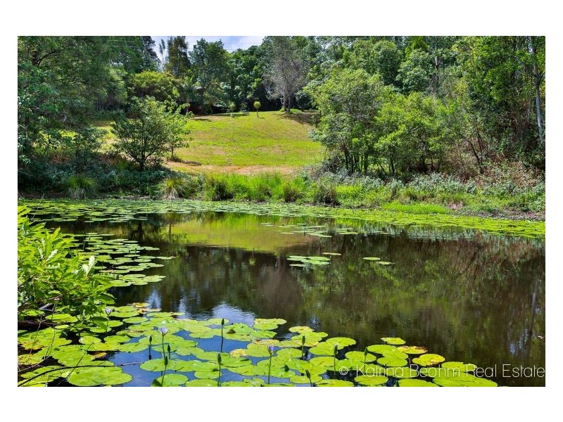 533 Blue Knob Road, Nimbin NSW 2480
