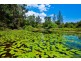533 Blue Knob Road, Nimbin NSW 2480