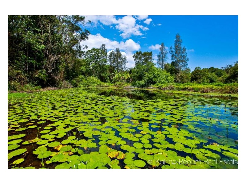 533 Blue Knob Road, Nimbin NSW 2480