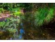 533 Blue Knob Road, Nimbin NSW 2480