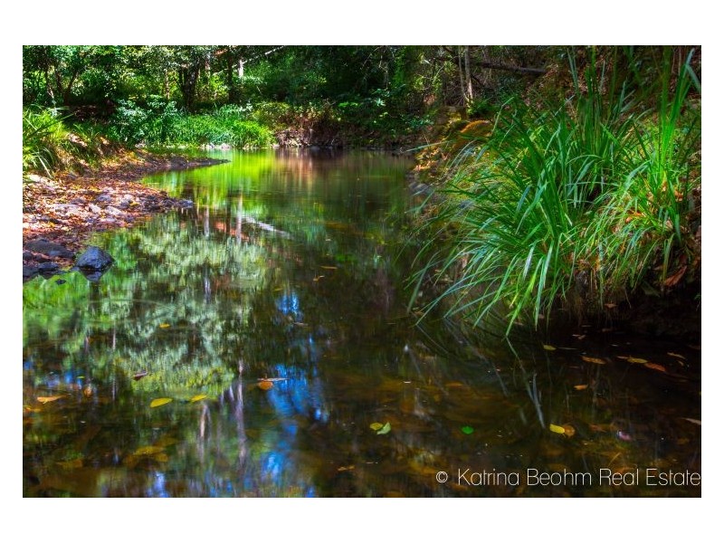 533 Blue Knob Road, Nimbin NSW 2480