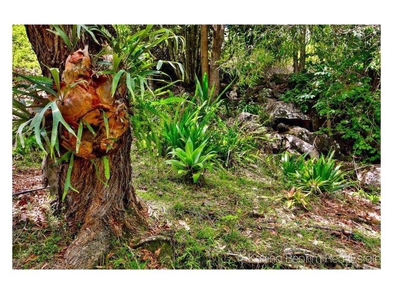 27 Barrys Road, Modanville NSW 2480