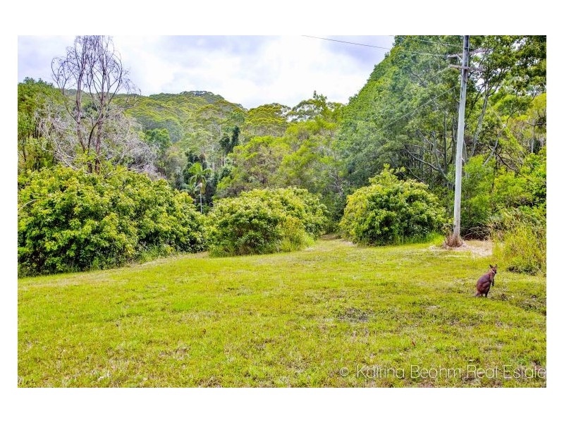 158 Fox Road, Rosebank NSW 2480