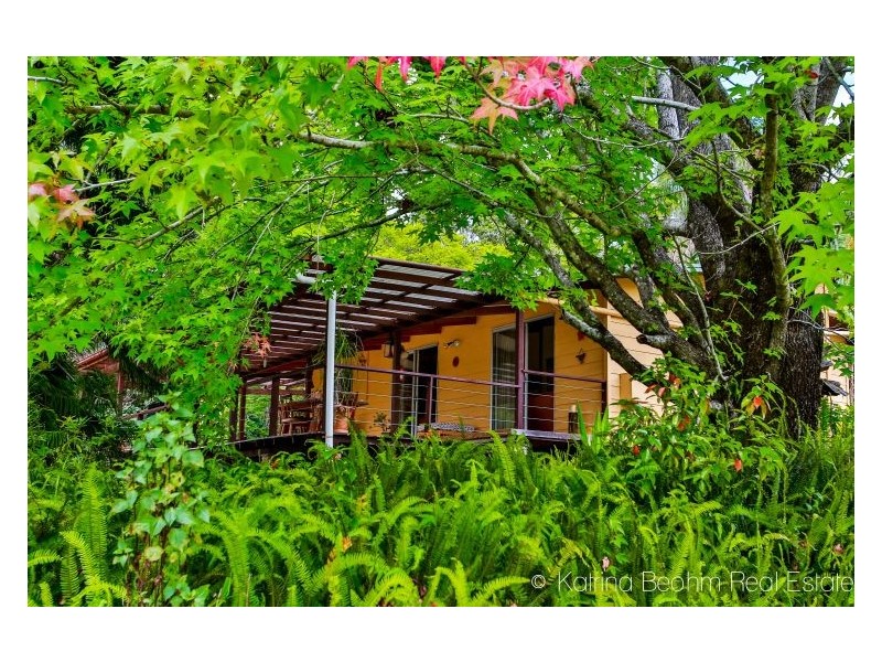 158 Fox Road, Rosebank NSW 2480