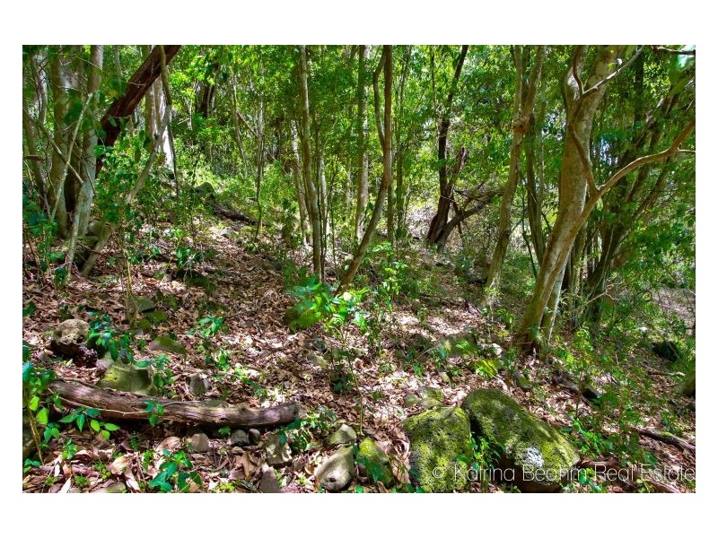 112 Tuckurimba Road, Tuckurimba NSW 2480