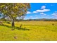 35 Fig Tree Lane, Mckees Hill NSW 2480