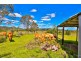 35 Fig Tree Lane, Mckees Hill NSW 2480