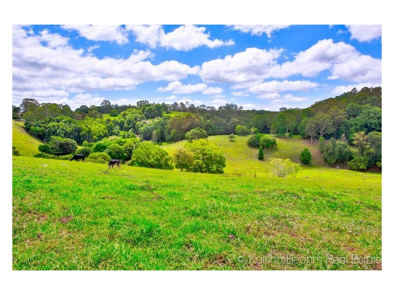 90 Bentley Road, Tullera NSW 2480