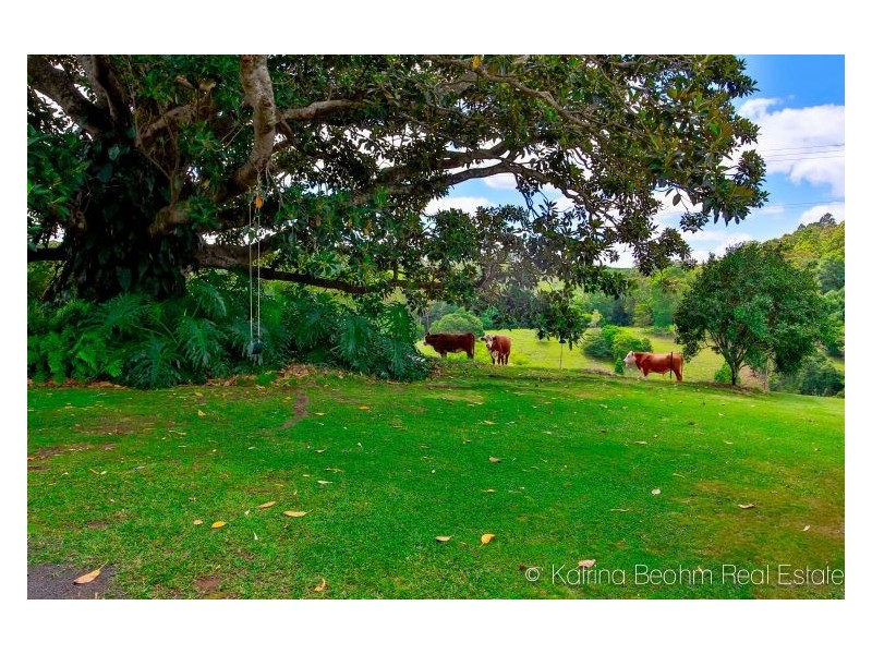 90 Bentley Road, Tullera NSW 2480