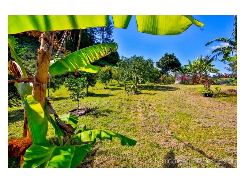 35 Town Road, The Channon NSW 2480