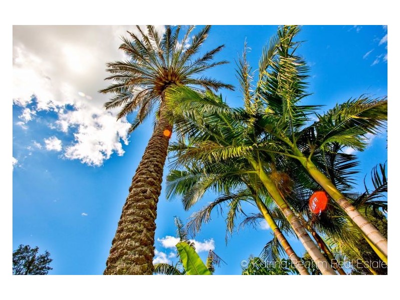 35 Town Road, The Channon NSW 2480